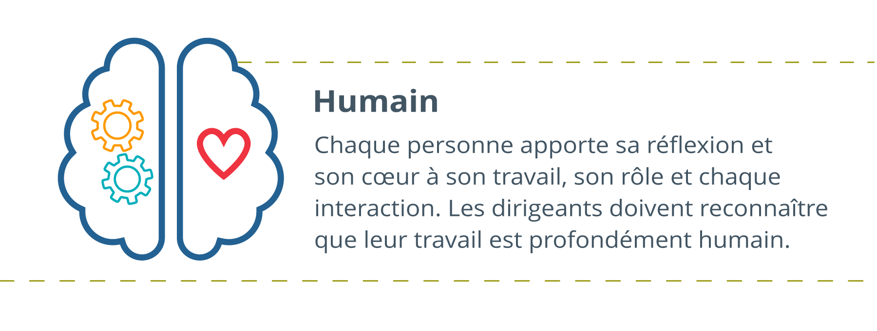 Les deux hémisphères du cerveau sont représentés : celui de gauche contient des engrenages et celui de droite un cœur. Il est écrit à droite : Dimension humaine : Chaque personne vient au travail, endosse son rôle et interagit avec son cœur et sa tête. Les leaders doivent reconnaître que leur travail est profondément humain.