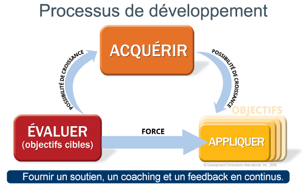 Dans le processus de développement de DDI, les leaders sont initiés aux phases d’évaluation, d’acquisition et d’application :